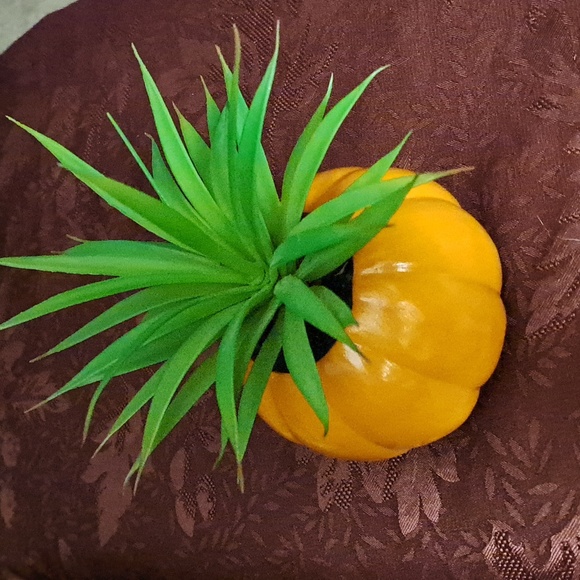 Cactus String of Lights & Faux Succulent - Picture 9 of 10